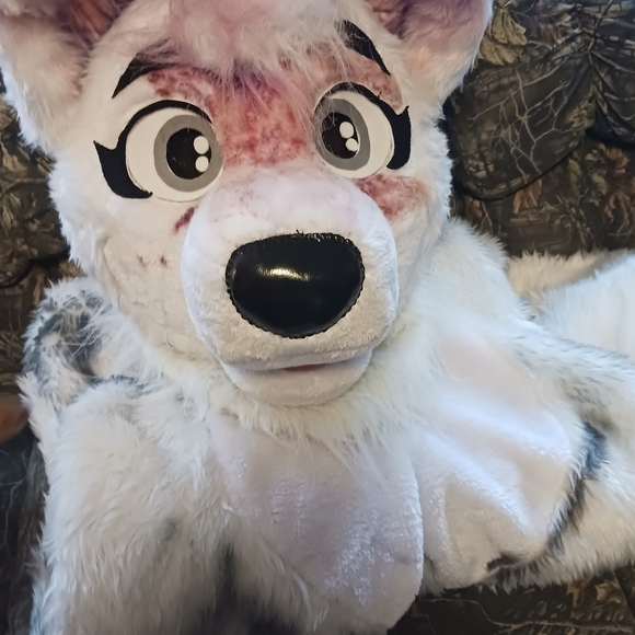 Husky Furrysuit - Picture 4 of 11